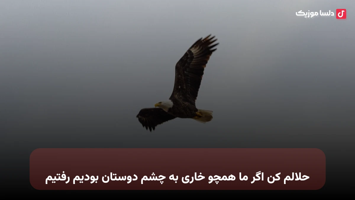حلالم کن اگر ما همچو خاری به چشم دوستان بودیم رفتیم